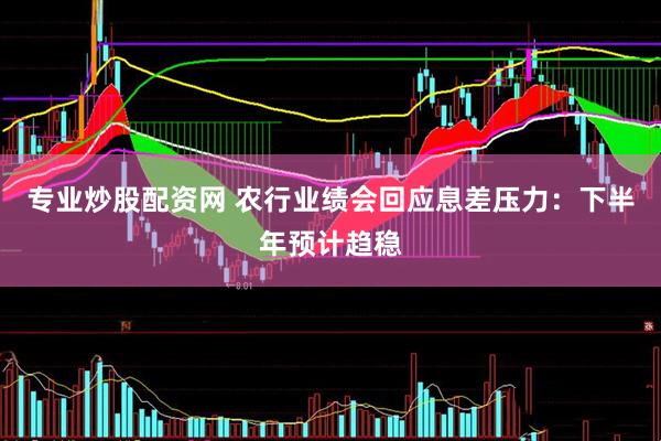 专业炒股配资网 农行业绩会回应息差压力：下半年预计趋稳