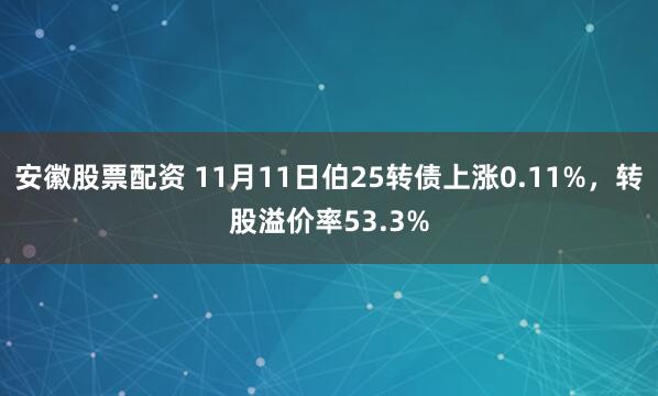 安徽股票配资 11月11日伯25转债上涨0.11%，转股溢价率53.3%