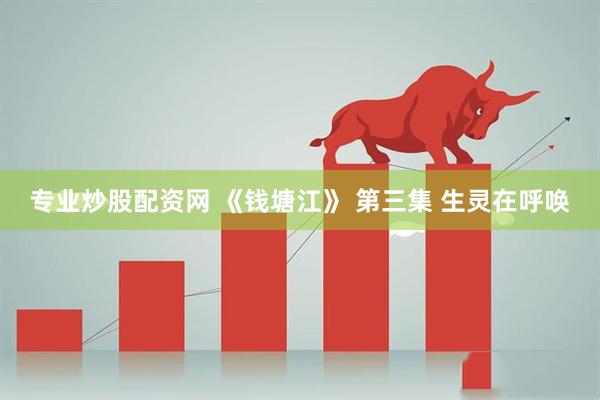 专业炒股配资网 《钱塘江》 第三集 生灵在呼唤