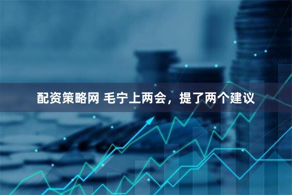 配资策略网 毛宁上两会，提了两个建议